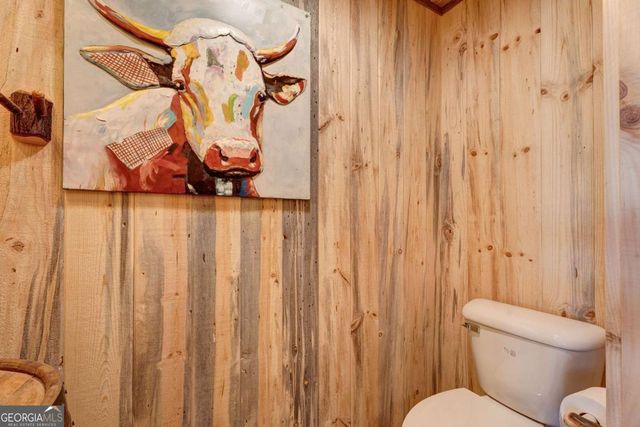 187 Briar Woods Lane C6, Blue Ridge, GA 30513