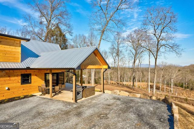 187 Briar Woods Lane C6, Blue Ridge, GA 30513