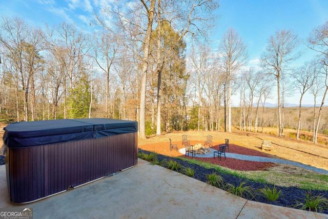 187 Briar Woods Lane C6, Blue Ridge, GA 30513