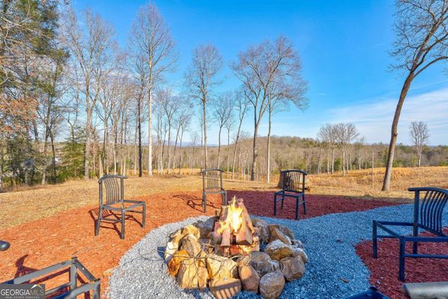 187 Briar Woods Lane C6, Blue Ridge, GA 30513