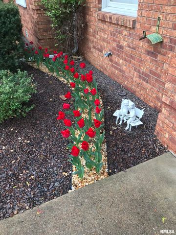 202 Dinah Lane, Marion, IL 62959