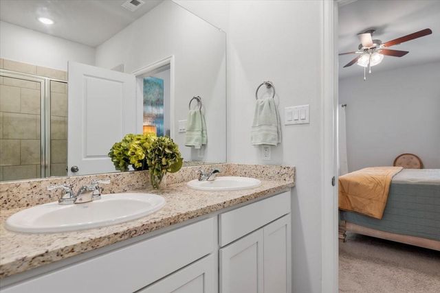5728 Palm Flower Drive, Montgomery, TX 77316