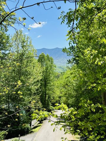 749 Yona Trail Way, Gatlinburg, TN 37738