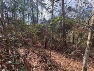 Lot 217 Mallard Drive, Coldspring, TX 77331