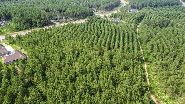 15917 Ridge Oak Road, Willis, TX 77378