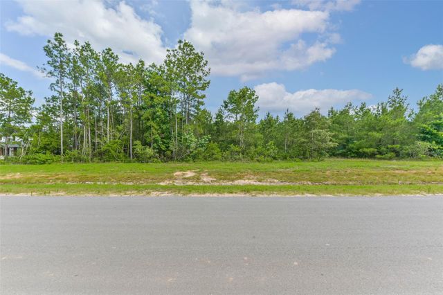 15917 Ridge Oak Road, Willis, TX 77378