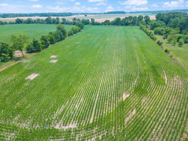 4302 Fykes Grove Rd, Cedar Hill, TN 37032