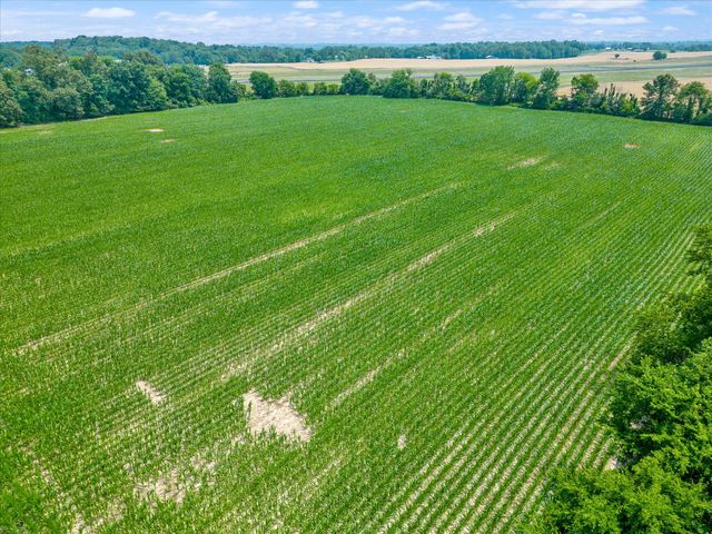 4302 Fykes Grove Rd, Cedar Hill, TN 37032