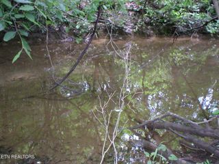 50 E Cove Rd, Monterey, TN 38574