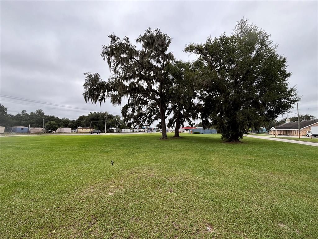 PINE LEVEL AVENUE S, Bartow, FL 33830