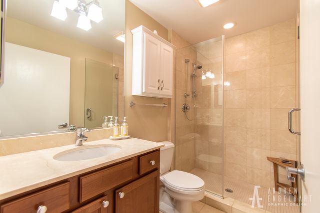 1069 W 14th Place 301, Chicago, IL 60608