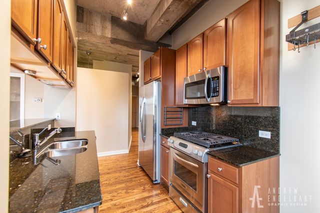 1069 W 14th Place 301, Chicago, IL 60608