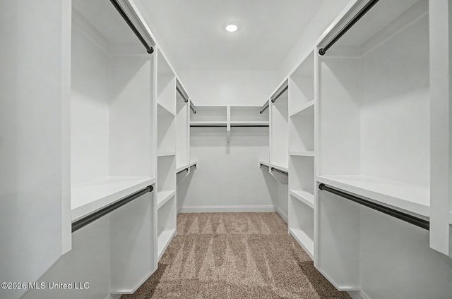 8130 Soaring Oaks Drive, Walls, MS 38680