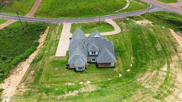 8130 Soaring Oaks Drive, Walls, MS 38680