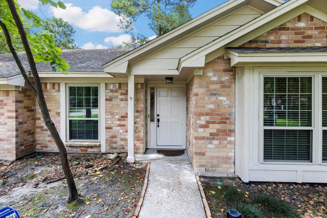 11510 Timberwild Street, The Woodlands, TX 77380