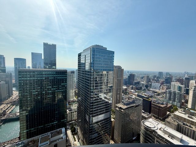 300 N STATE Street 5818, Chicago, IL 60654