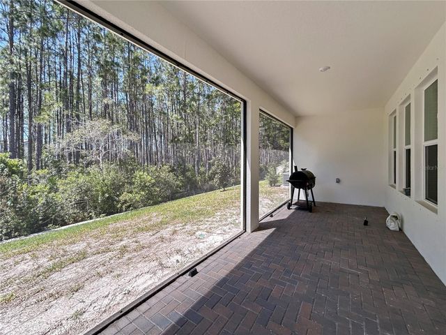 18334 SERENE LAKE LOOP, Lutz, FL 33548