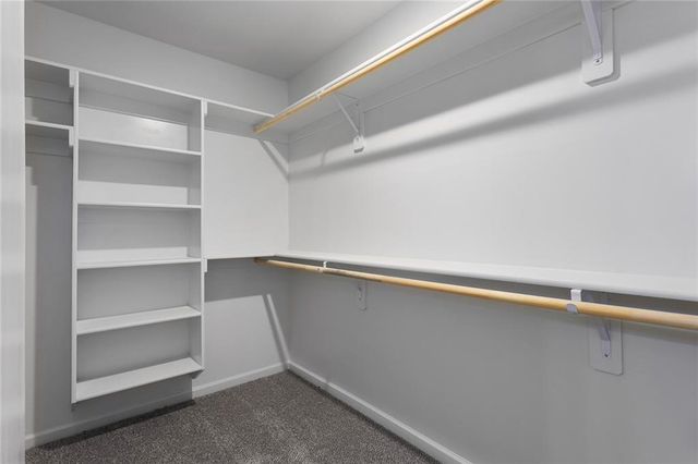 602 Wild Lupine Lane, Raymore, MO 64083