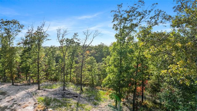 Lot 11 Wilshire Boulevard, Pineville, MO 64856
