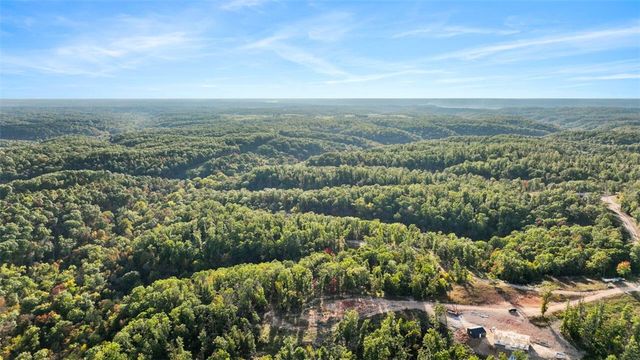 Lot 11 Wilshire Boulevard, Pineville, MO 64856