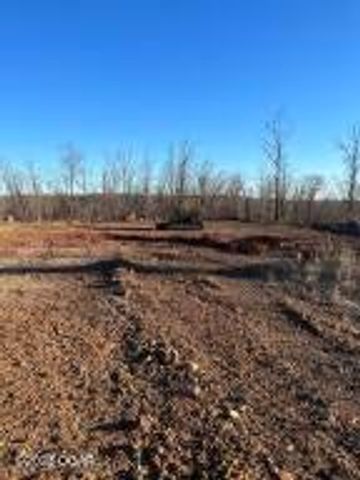 Lot 11 Wilshire Boulevard, Pineville, MO 64856