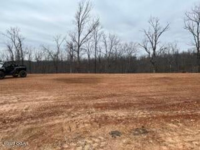 Lot 11 Wilshire Boulevard, Pineville, MO 64856