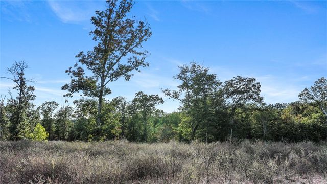 Lot 11 Wilshire Boulevard, Pineville, MO 64856