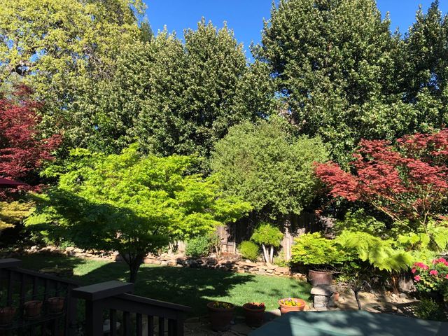 100 Hensey Ct, Folsom, CA 95630