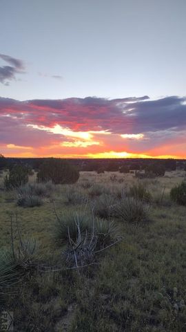 22223 Hwy 109, Kim, CO 81049