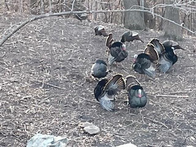 4315 Deere trail, Chaska, MN 55318