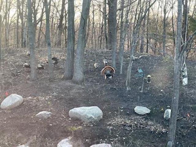 4315 Deere trail, Chaska, MN 55318