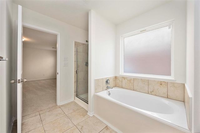 9939 Chimney Swift Lane, Conroe, TX 77385