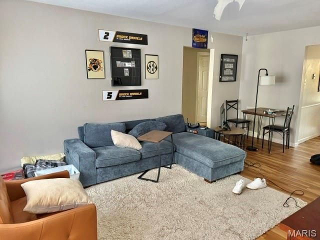 443 S Clay Avenue C, Kirkwood, MO 63122
