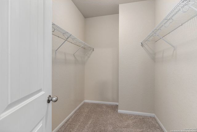 967 Divine, New Braunfels, TX 78130