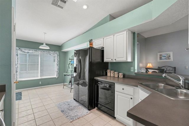 11229 COREY PAVIN LANE, San Antonio, FL 33576