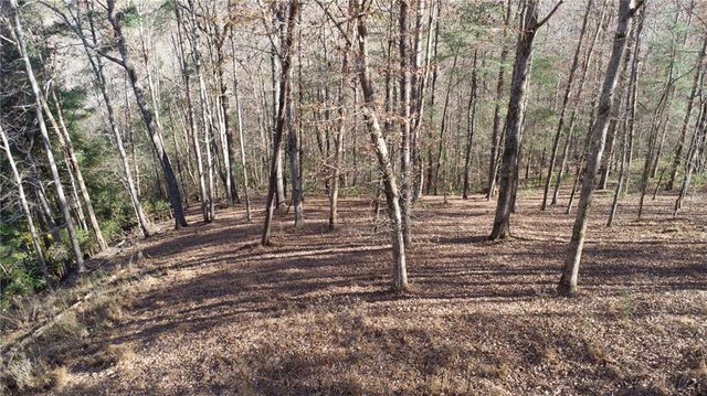 202 Indian Trail, Dahlonega, GA 30533