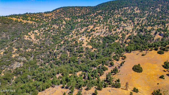 29600 Goldspike Road, Tehachapi, CA 93561