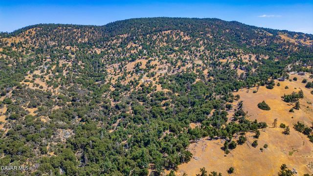 29600 Goldspike Road, Tehachapi, CA 93561