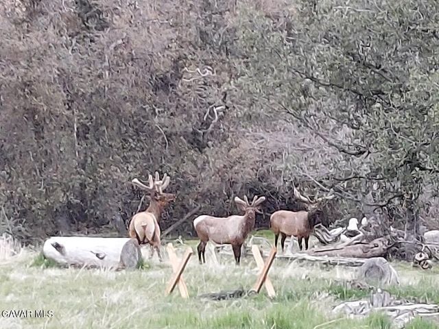 29600 Goldspike Road, Tehachapi, CA 93561