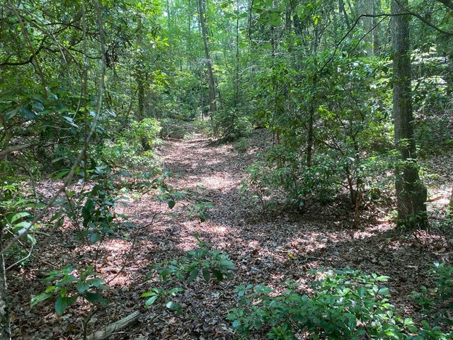 0 Point Overlook Trail, Murphy, NC 28906