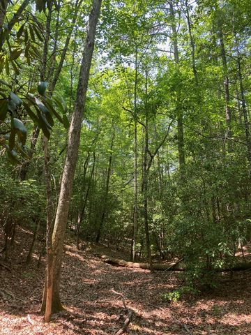 0 Point Overlook Trail, Murphy, NC 28906
