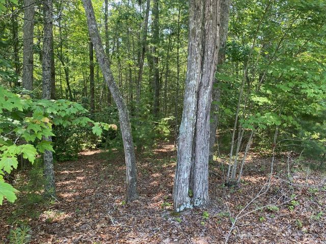 0 Point Overlook Trail, Murphy, NC 28906