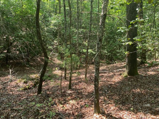0 Point Overlook Trail, Murphy, NC 28906