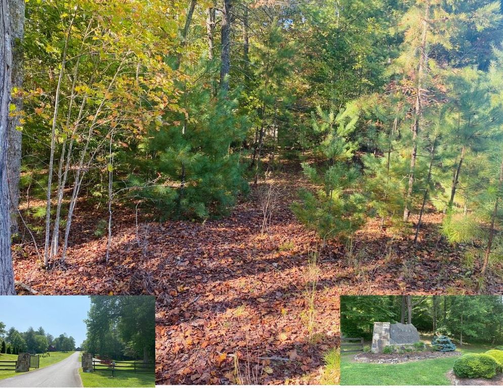 0 Point Overlook Trail, Murphy, NC 28906