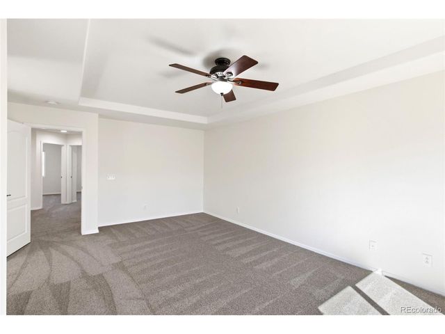 14181 Petrel Dr, Colorado Springs, CO 80921