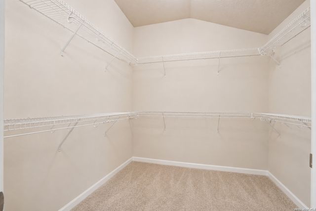 8919 BLACK FRST, Helotes, TX 78023