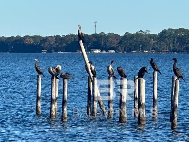 12698 6th Street, Lillian, AL 36549