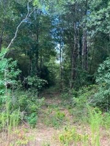 69 Tranquil Lane, Huntsville, TX 77340