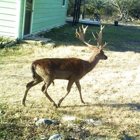 134 White Pearl Rd, Hunt, TX 78024