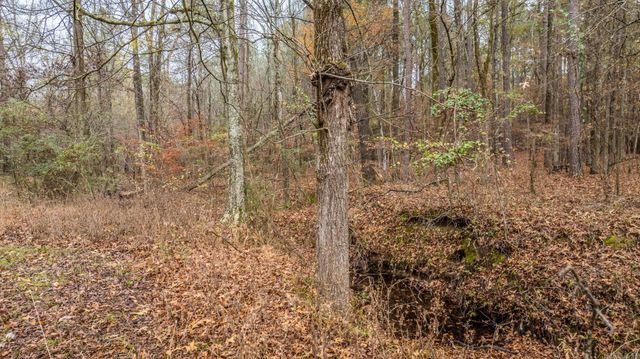 1730 Graham Road, Benton, AR 72015